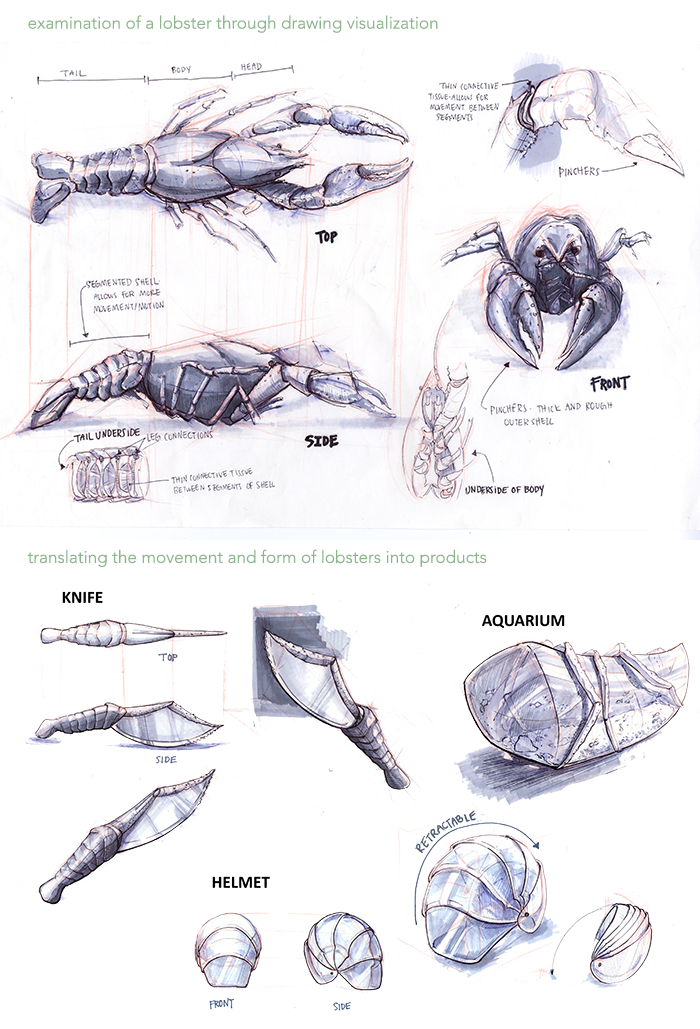 NatureStudy copy